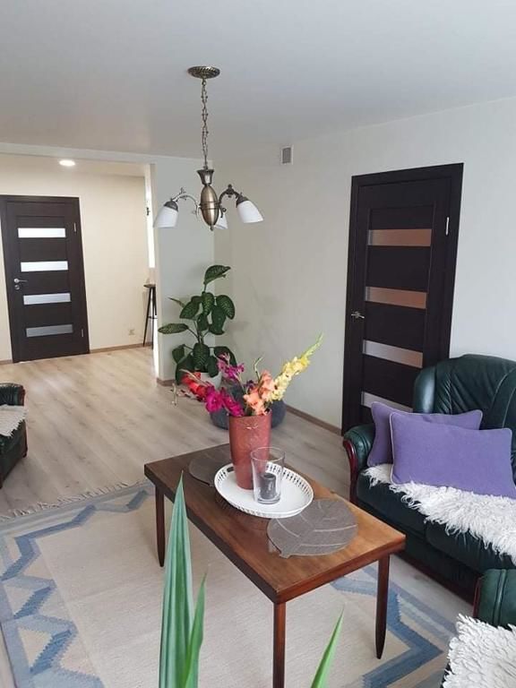 Апартаменты Kaimo apartamentai! Budraičiai-28